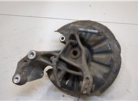  Ступица (кулак, цапфа) Volkswagen Tiguan 2016-2020 20306352 #2