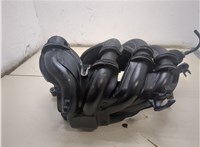  Коллектор впускной Ford Focus 2 2005-2008 20307231 #1