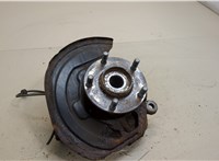 402021KA0A, 400141KA1A Ступица (кулак, цапфа) Nissan Leaf 2010-2017 20307413 #1