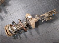 4852049895, 4813148490 Амортизатор подвески Lexus RX 2003-2009 20307654 #5