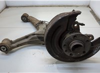  Ступица (кулак, цапфа) Volkswagen Transporter 5 2003-2009 20307896 #1