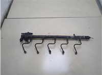 Рампа (рейка) топливная Mercedes C W203 2000-2007 20307907 #1