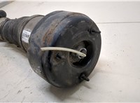  Амортизатор подвески Mercedes S W221 2005-2013 20307978 #2