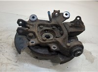  Ступица (кулак, цапфа) Lexus RX 2009-2015 20307998 #7