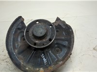  Ступица (кулак, цапфа) Volkswagen Passat 8 2015- 20308029 #1