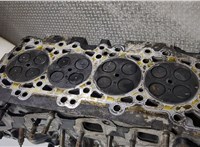  Головка блока (ГБЦ) Nissan Navara 2005-2015 20308050 #7