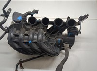 06F133213G, 06F133062 Коллектор впускной Skoda Octavia (A5) 2004-2013 20308073 #9
