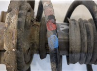  Амортизатор подвески Skoda Fabia 2007-2010 20308241 #3