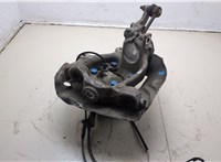 31221093427, 31211092853, 34111162955, 1093427 Ступица (кулак, цапфа) BMW 5 E39 1995-2003 20309224 #5