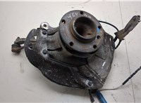 31221093427, 31211092853, 34111162955, 1093427 Ступица (кулак, цапфа) BMW 5 E39 1995-2003 20309224 #6