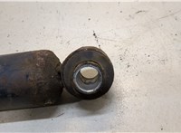  Амортизатор подвески Citroen Jumper (Relay) 2014-2025 20309360 #2