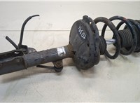  Амортизатор подвески Lexus RX 2003-2009 20309374 #1