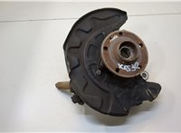  Ступица (кулак, цапфа) Seat Ateca 2016-2020 20309491 #1