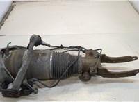  Амортизатор подвески Audi Q7 2006-2009 20309556 #1