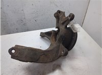 402022048R, 8200297032 Ступица (кулак, цапфа) Renault Megane 2 2002-2009 20309937 #4