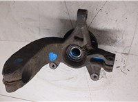 402022048R, 8200297032 Ступица (кулак, цапфа) Renault Megane 2 2002-2009 20309937 #6