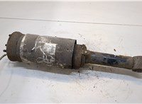  Амортизатор подвески Land Rover Discovery 3 2004-2009 20310018 #1