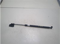  Амортизатор капота Subaru Tribeca (B9) 2004-2007 20310152 #1