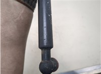  Амортизатор капота Subaru Tribeca (B9) 2004-2007 20310152 #2