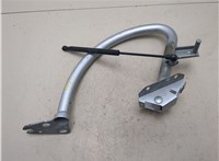 8T0827381F Петля крышки багажника Audi A5 (8T) 2011-2017 20310273 #5