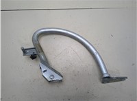 8T0827302F Петля крышки багажника Audi A5 (8T) 2011-2017 20310278 #1