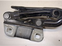  Петля капота Mercedes GL X164 2006-2012 20310296 #1