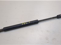  Амортизатор капота Nissan Armada 2003-2016 20310476 #1