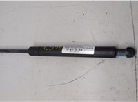 654717S000 Амортизатор капота Nissan Armada 2003-2016 20310478 #3