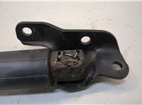  Амортизатор крышки багажника BMW 5 F07 Gran Turismo 2009-2013 20310480 #2