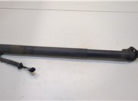  Амортизатор крышки багажника BMW 5 F07 Gran Turismo 2009-2013 20310482 #1