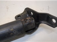  Амортизатор крышки багажника BMW 5 F07 Gran Turismo 2009-2013 20310482 #2