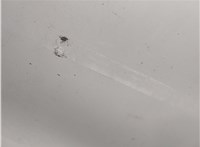  Дверь боковая (легковая) Mazda 3 (BL) 2009-2013 20310620 #3