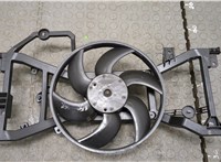  Вентилятор радиатора Renault Megane 3 2009-2016 20310746 #2