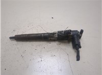 A6460700787 Форсунка топливная Mercedes C W203 2000-2007 20310924 #1
