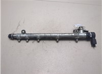 A6460701195 Рампа (рейка) топливная Mercedes C W203 2000-2008 20310927 #7