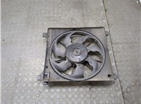  Вентилятор радиатора Hyundai H-1 Starex 2007-2015 20311184 #1