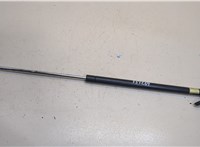  Амортизатор капота Subaru Tribeca (B9) 2007-2014 20311463 #4