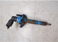 1432322 Форсунка топливная Ford Transit (Tourneo) Connect 2002-2013 20311984 #4