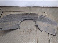  Защита арок (подкрылок) Dodge Caliber 20312039 #1