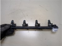  Форсунка топливная Renault Megane 2 2002-2009 20312152 #1