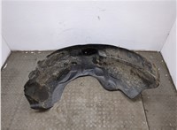 9L3416035AG Защита арок (подкрылок) Ford F-150 2009-2014 20312182 #1