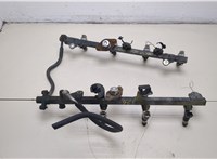 175217S000, 175227S000, 164407S000 Рампа (рейка) топливная Nissan Armada 2003-2016 20312261 #8