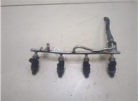  Форсунка топливная Opel Vectra B 1995-2002 20312406 #1