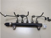  Рампа (рейка) топливная Opel Antara 20312475 #1
