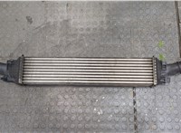  Радиатор интеркулера Audi A5 (8T) 2011-2017 20312694 #2