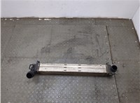  Радиатор интеркулера Renault Scenic 2009-2012 20312714 #1