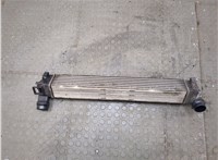  Радиатор интеркулера Renault Scenic 2009-2012 20312714 #5