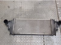  Радиатор интеркулера Mercedes ML W164 2005-2011 20312760 #1