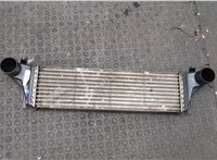 17512247966 Радиатор интеркулера BMW X5 E53 2000-2006 20312782 #4