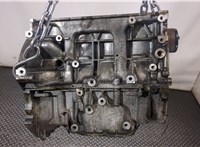 101024ED9B Блок цилиндров (Шорт блок) Nissan Qashqai 2013-2019 20312806 #1